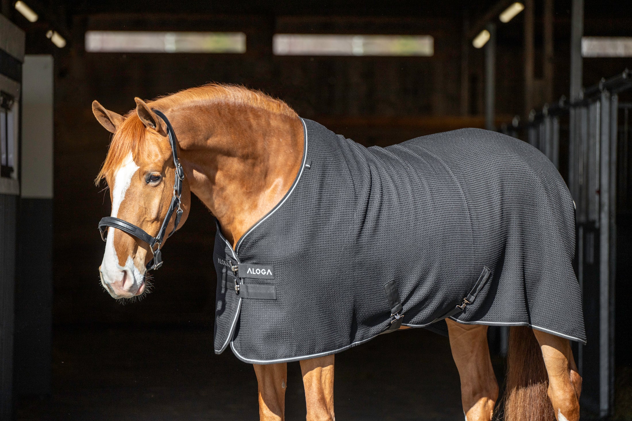 Aloga Waffle Cooler Blanket - Including Custom Embroidery