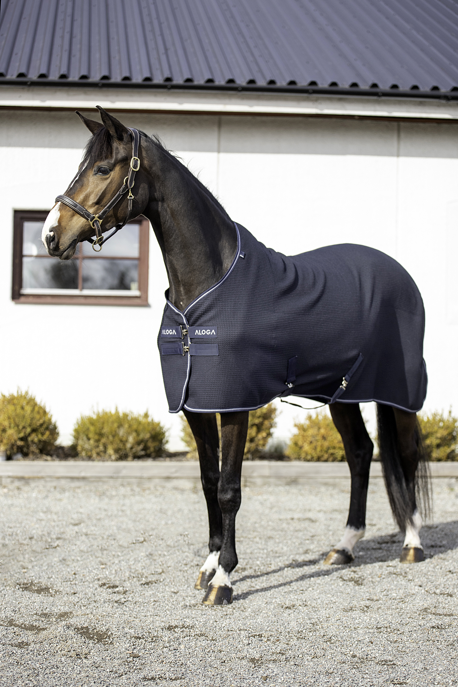 Aloga Waffle Cooler - Including Custom Embroidery