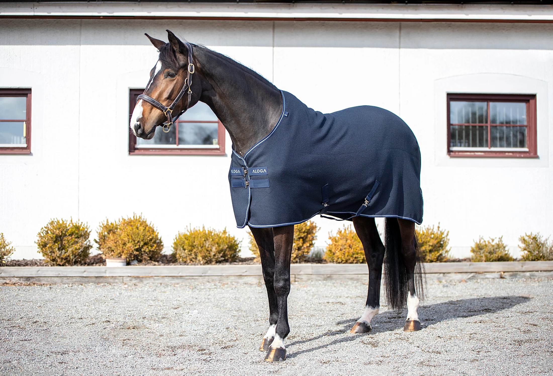 Aloga Waffle Cooler Blanket - Including Custom Embroidery