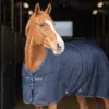 Aloga Pro Stable Blanket 100 grams Horse