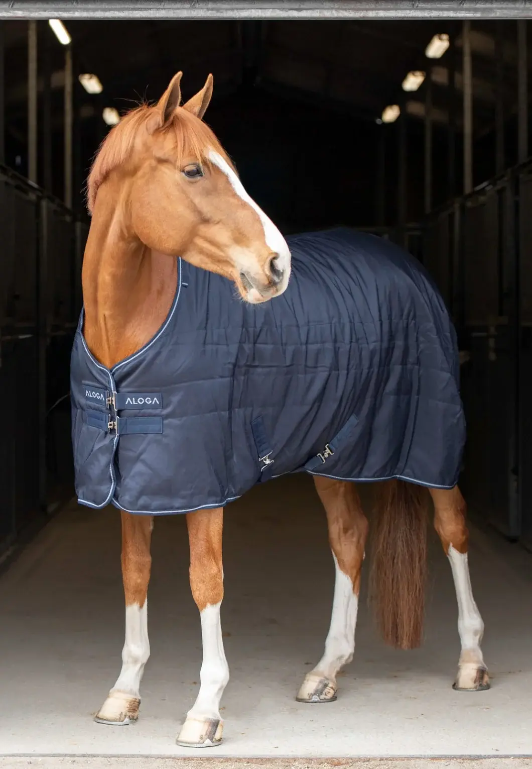 Aloga Pro Stable 100G - Including Custom Embroidery