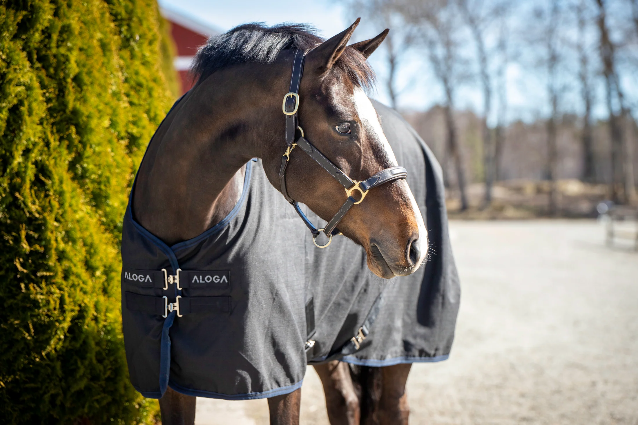 Aloga Pro Stable Blanket 0G - Including Custom Embroidery