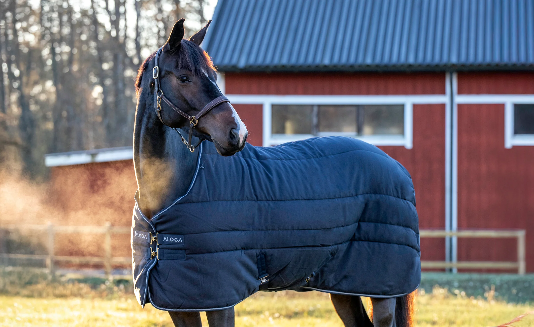 Aloga Pro Stable Blanket 200G - Including Custom Embroidery