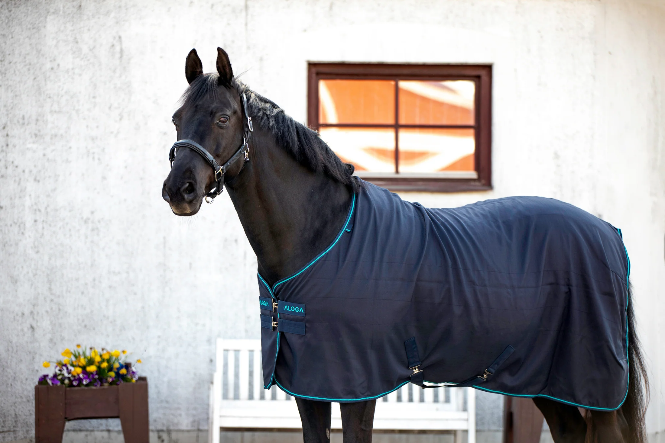 Aloga Pro Stable Blanket 0G - Including Custom Embroidery