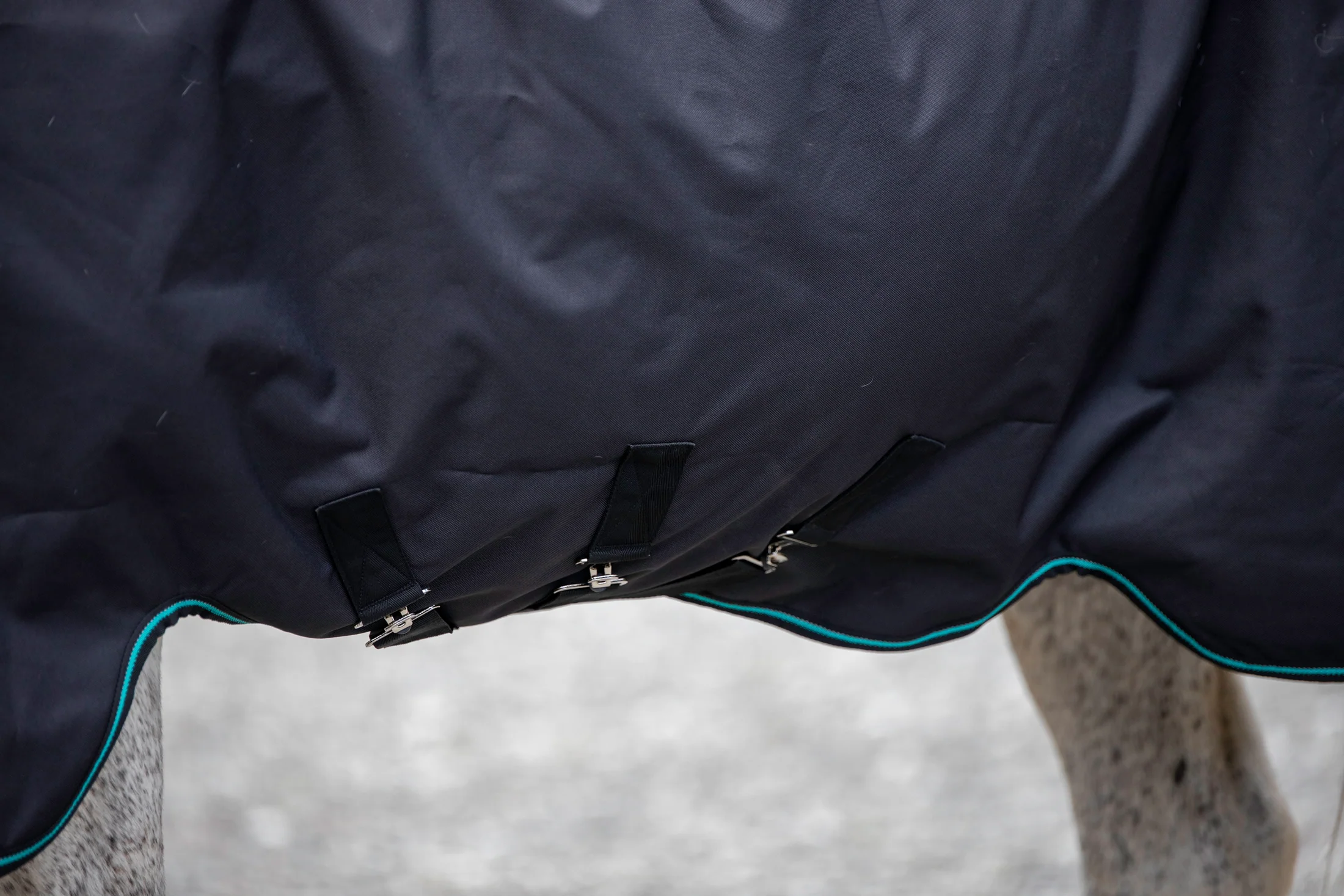 Aloga Pro Turnout Blanket 200G - Including Custom Embroidery