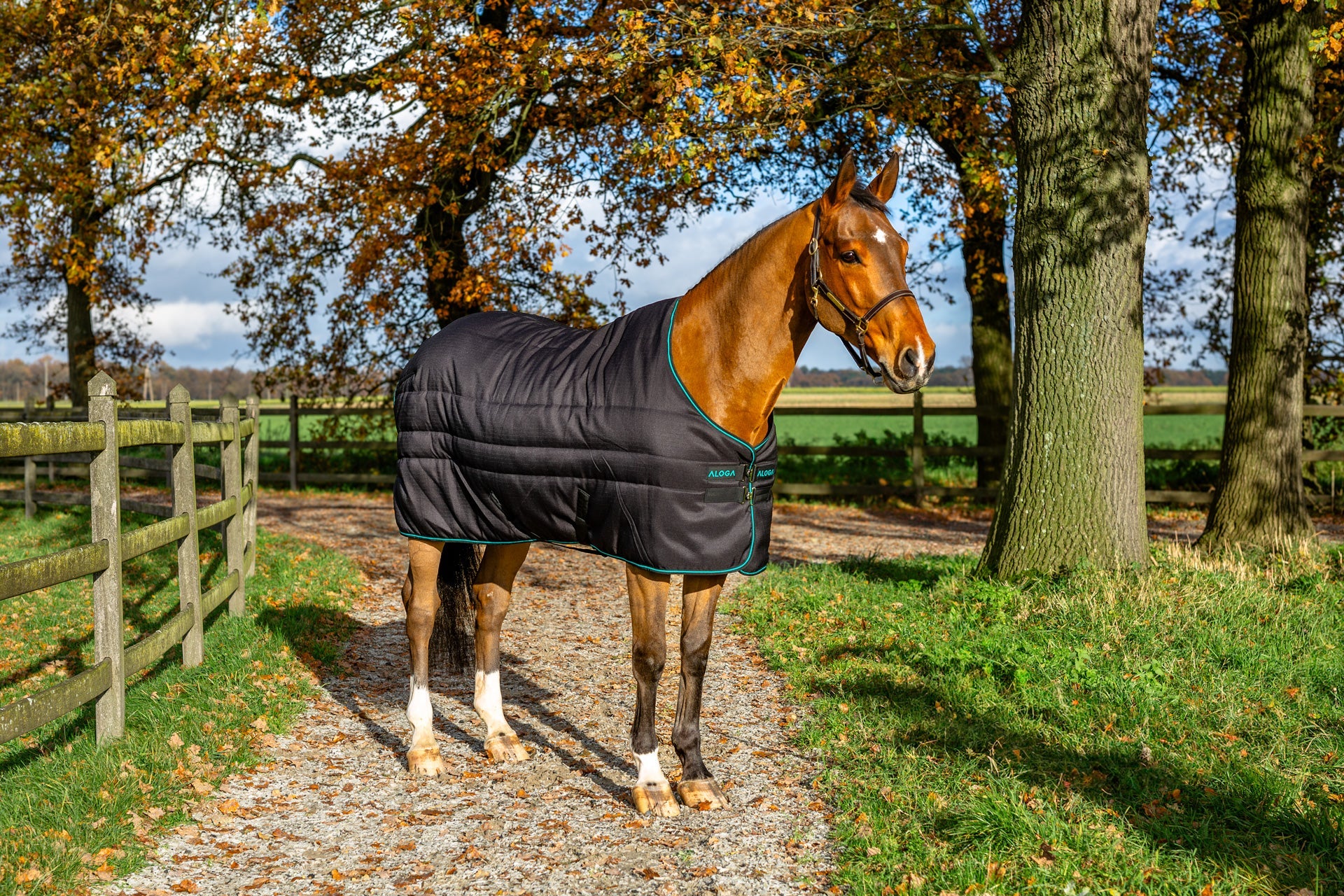 Aloga Pro Stable Blanket 200G - Including Custom Embroidery