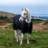 Aloga pro turnout blanket horse