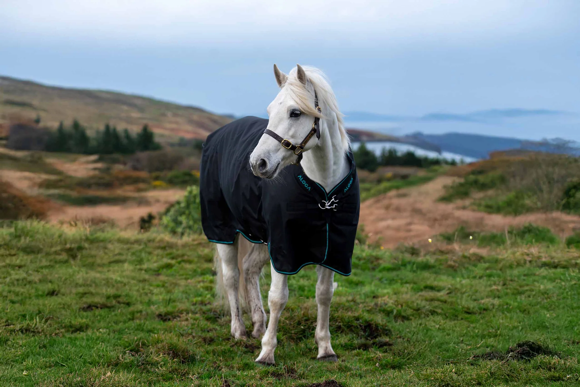 Aloga Pro Turnout Blanket 200G - Including Custom Embroidery