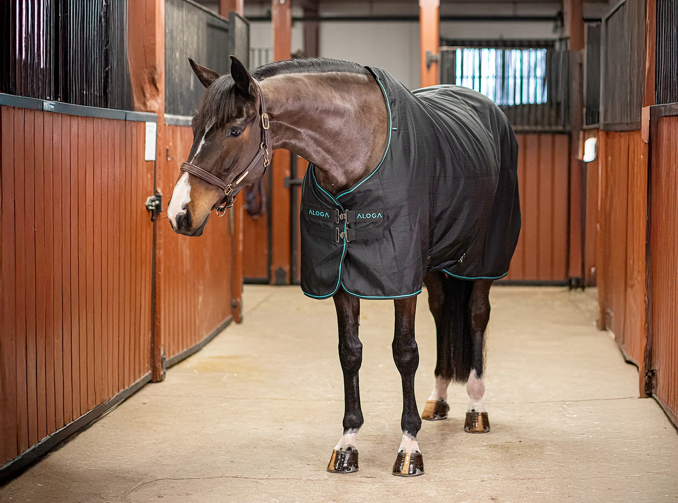 Aloga Pro Stable Blanket 0G - Including Custom Embroidery