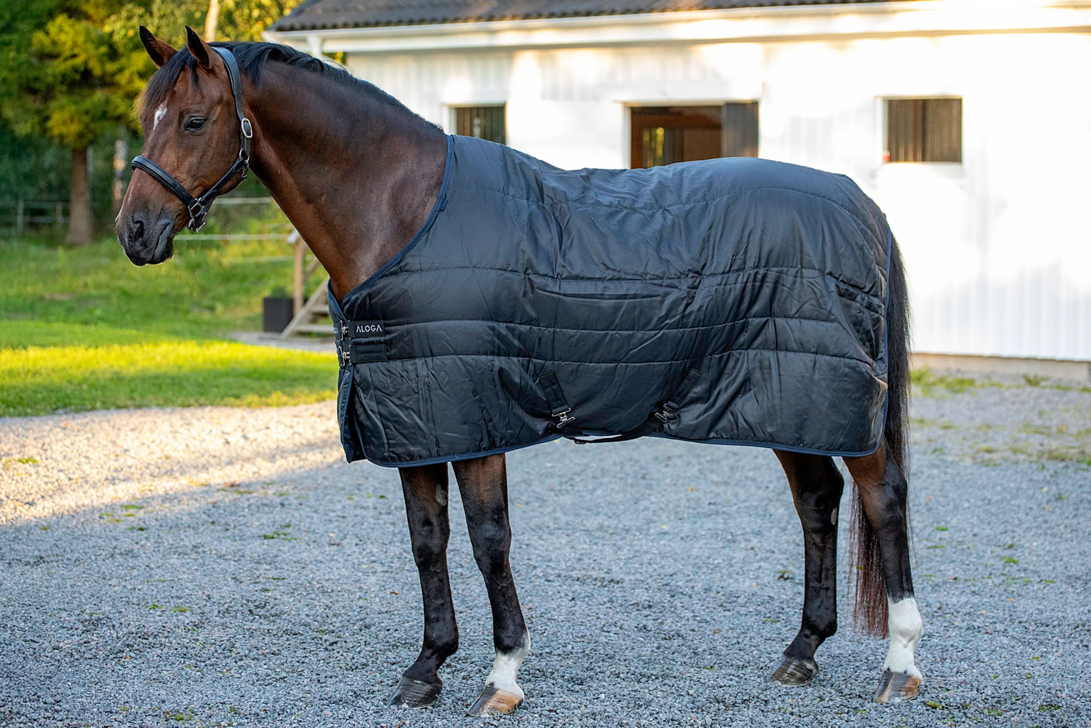 Aloga Stable Blanket 2.0 150G - Including Custom Embroidery