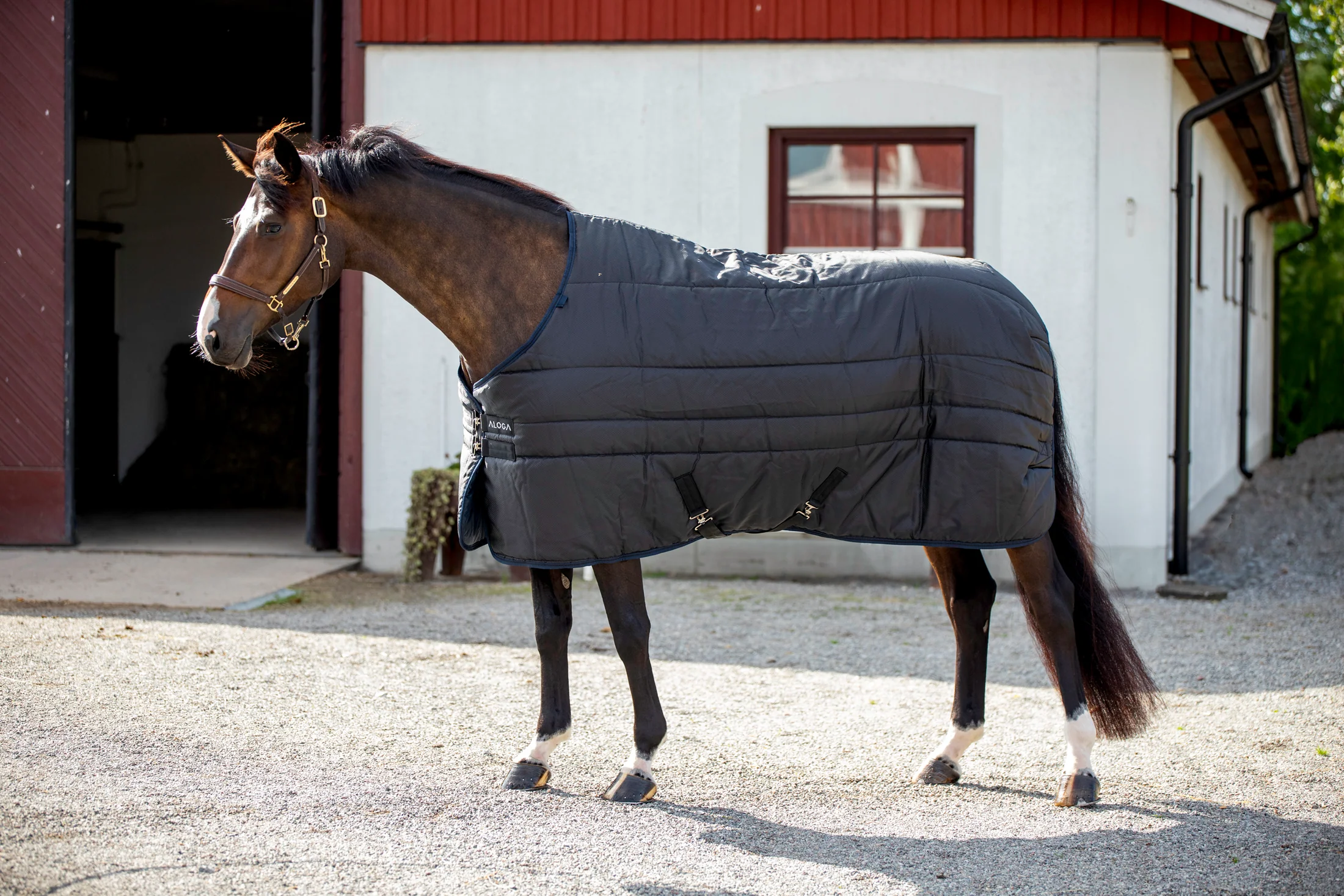 Aloga Stable Blanket 2.0 300G - Including Custom Embroidery