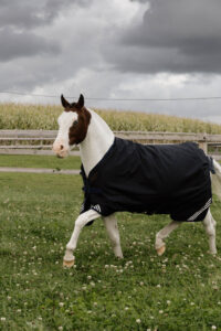 Kentucky Turnout Rug All Weather Comfort