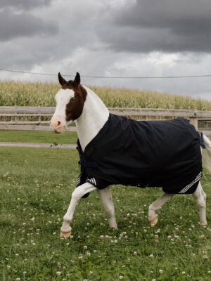 Kentucky Turnout Rug All Weather Comfort