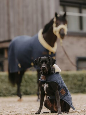 Kentucky Dog Coat Original