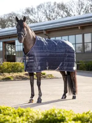 LeMieux Arika Stable Rug