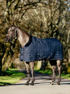 LeMieux Kudos Stable Rug