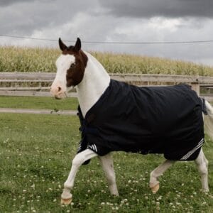 Kentucky Turnout Rug All Weather Comfort