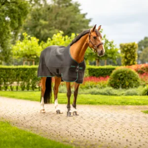 Aloga Pro Mesh Cooler