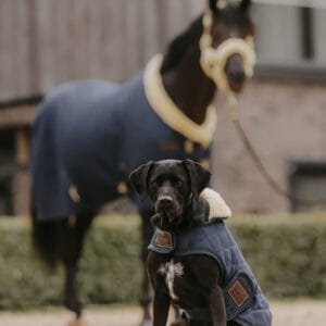 Kentucky Dog Coat Original