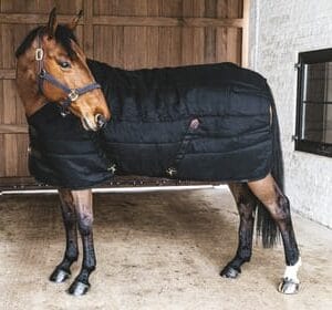 Kentucky Stable Rug Classic