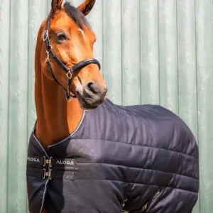 Aloga Pro Stable 200G & Hood