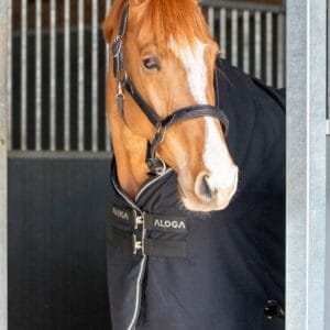 Aloga Versatile Sheet