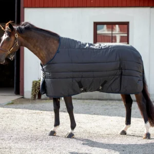 Aloga Stable 2.0 300G