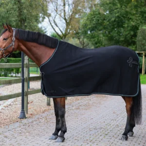 Aloga Pro Wool Blanket